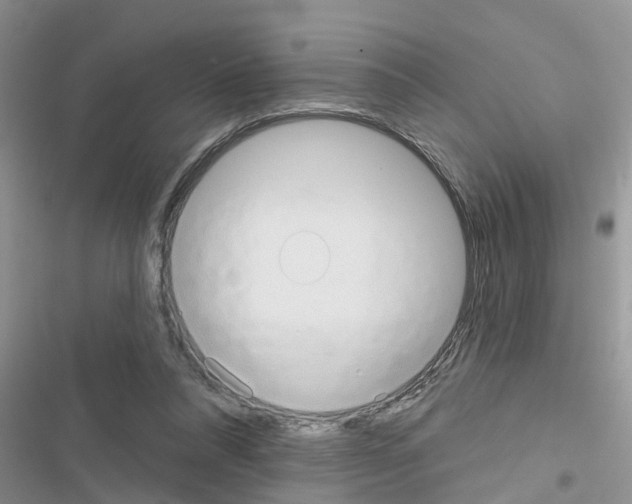X0000116630304201001221406