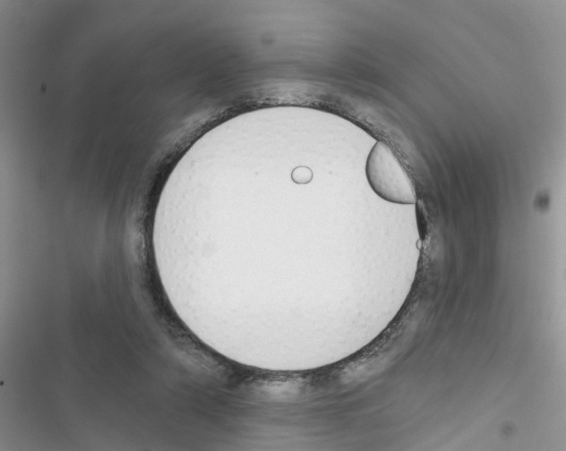X0000116630306201001221406