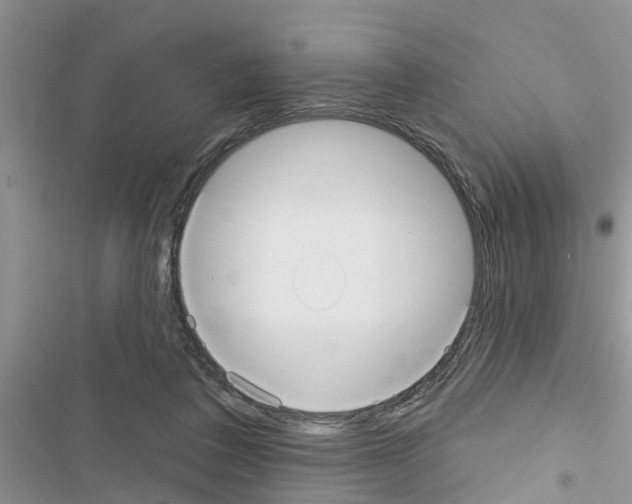 X0000116630308201001221406