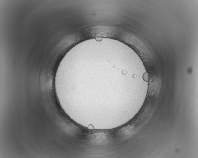 X0000116630310201001221406