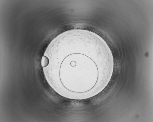 X0000116630311201001221406