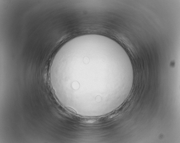 X0000116630312201001221406