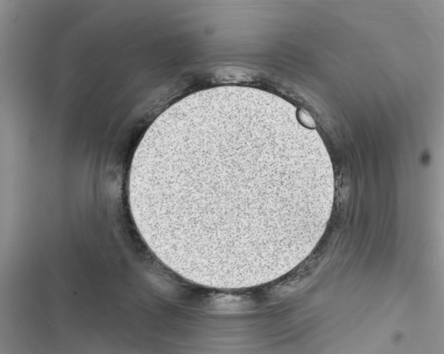 X0000116630315201001221406
