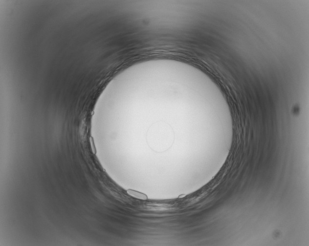 X0000116630316201001221406