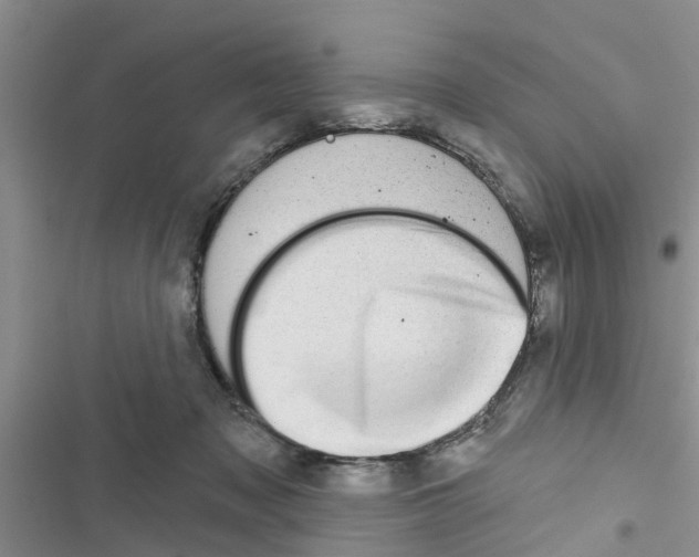 X0000116630317201001221406