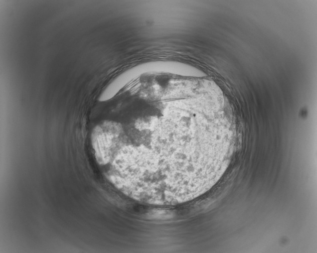 X0000116630319201001221406