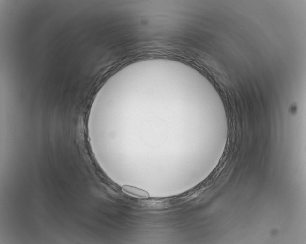 X0000116630320201001221406