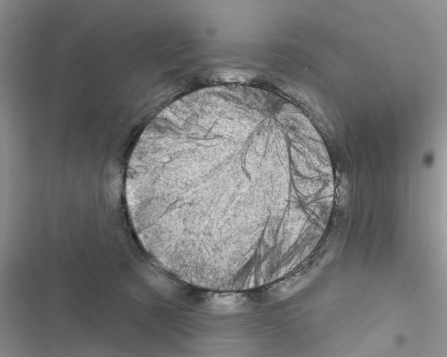 X0000116630321201001221406