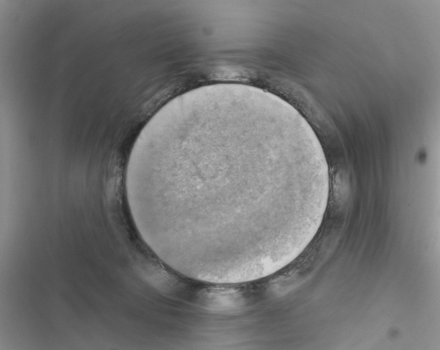 X0000116630322201001221406
