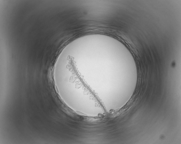 X0000116630325201001221406