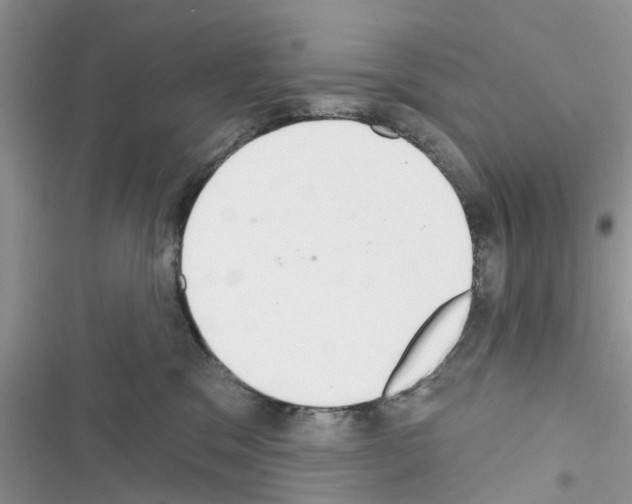 X0000116630329201001221406