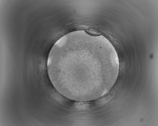 X0000116630331201001221406