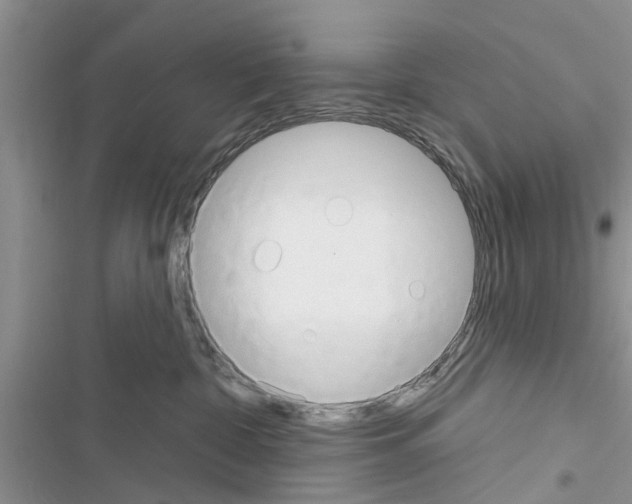 X0000116630332201001221406