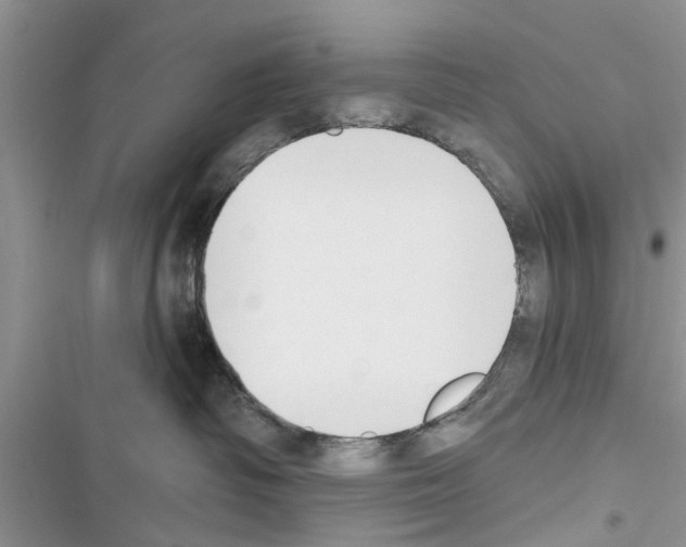 X0000116630334201001221406