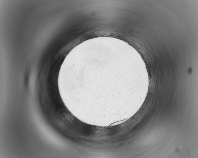X0000116630335201001221406