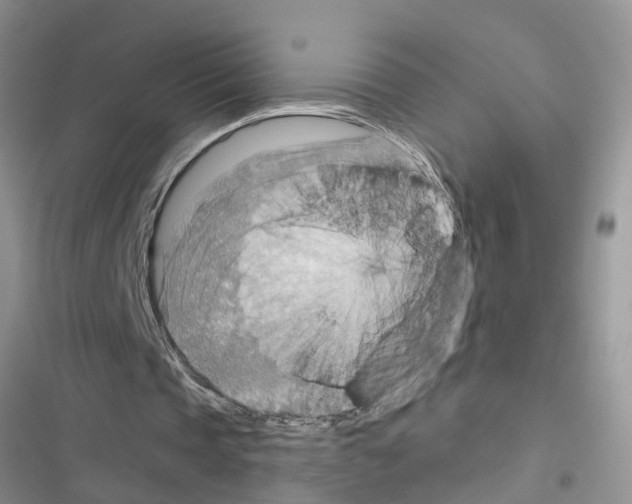 X0000116630337201001221405