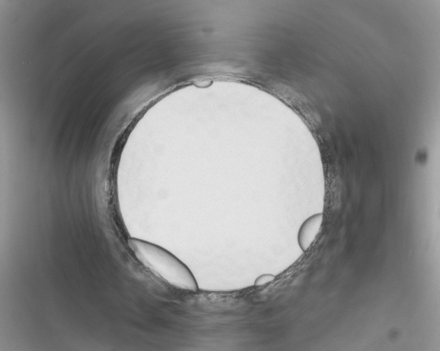 X0000116630338201001221405