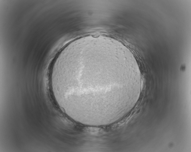 X0000116630339201001221405