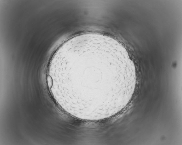 X0000116630341201001221405