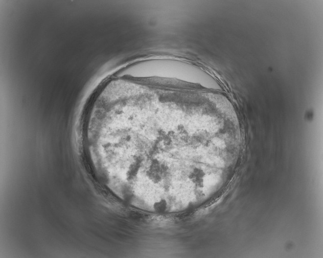 X0000116630343201001221405