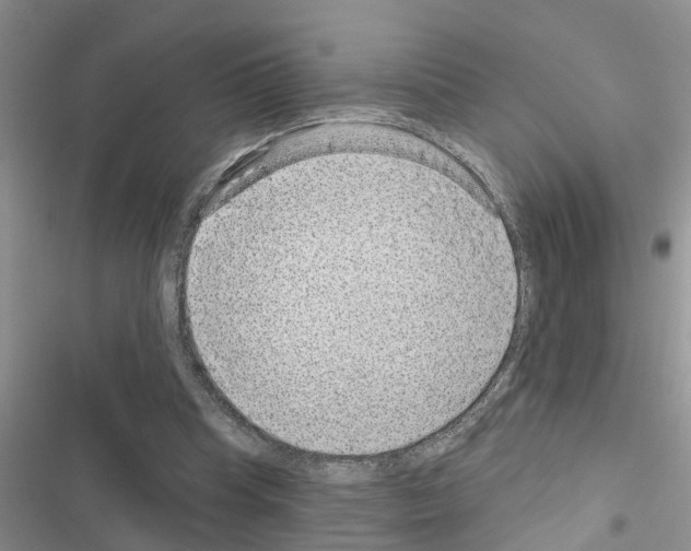 X0000116630345201001221405