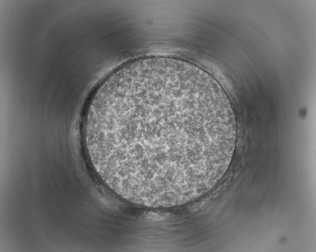 X0000116630346201001221405