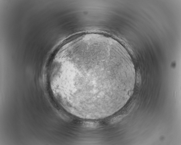 X0000116630347201001221405