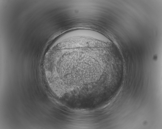 X0000116630349201001221405