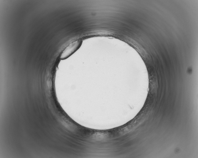 X0000116630350201001221405