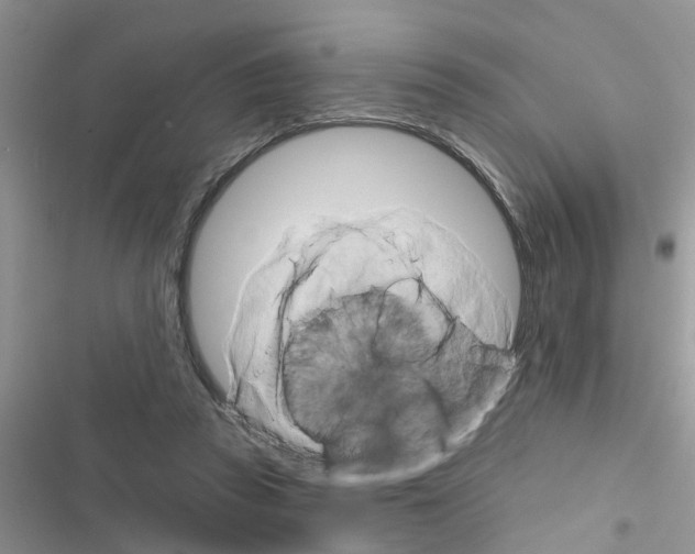 X0000116630353201001221405