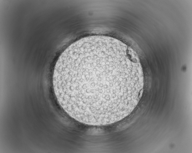X0000116630354201001221405