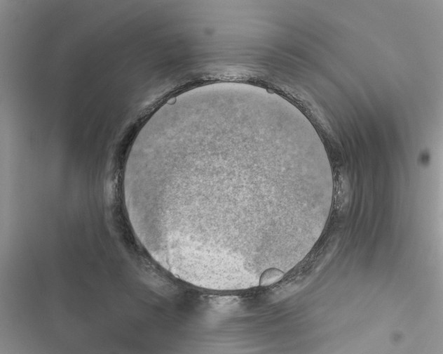 X0000116630355201001221405