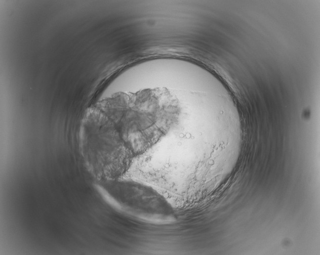 X0000116630357201001221405
