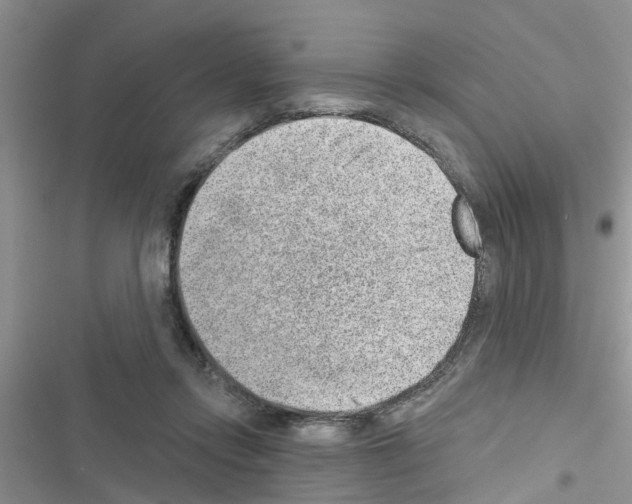 X0000116630358201001221405