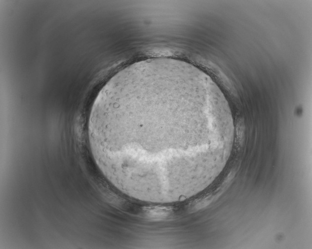 X0000116630359201001221405