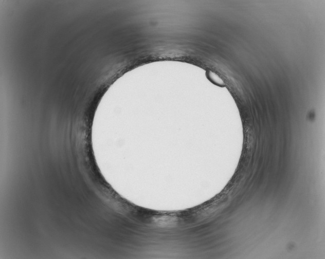 X0000116630362201001221405