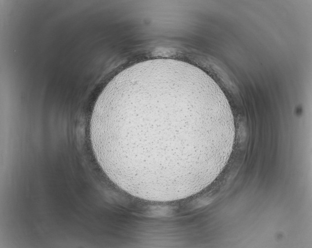 X0000116630363201001221405