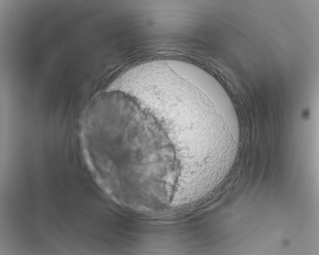 X0000116630369201001221405