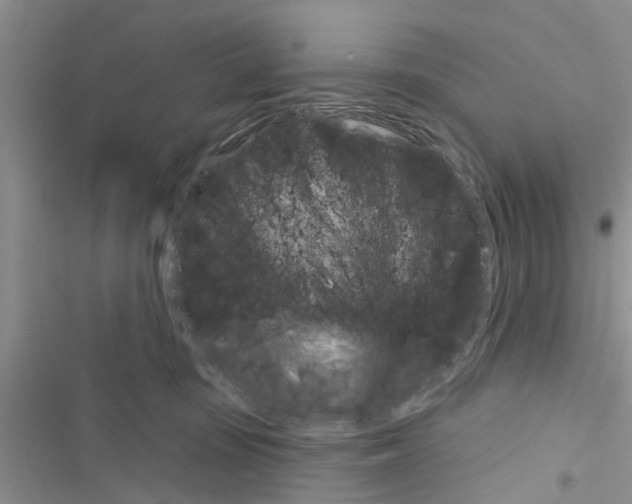 X0000116630371201001221406
