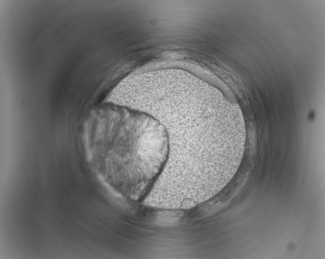 X0000116630373201001221406