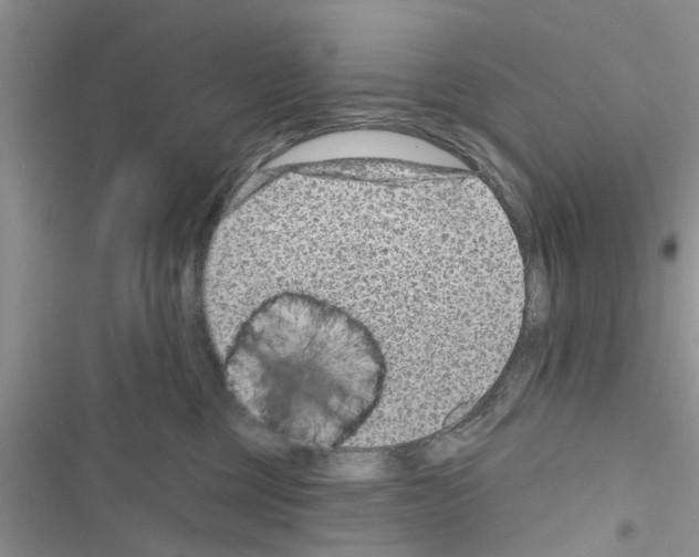 X0000116630377201001221406