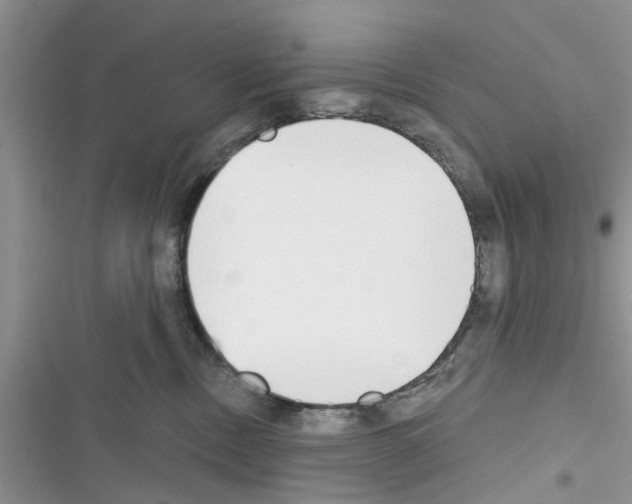 X0000116630378201001221406