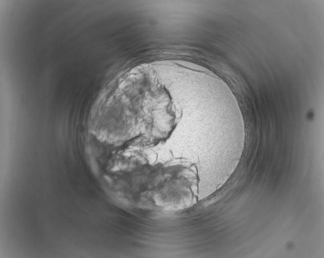 X0000116630381201001221406