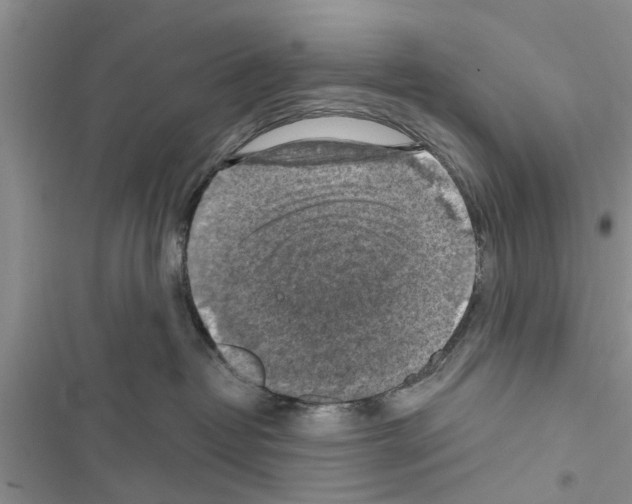 X0000116630382201001221406