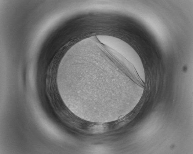 X0000116630383201001221406