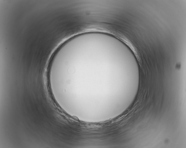 X0000116630387201001221405