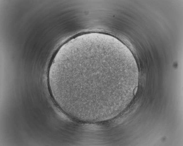 X0000116630389201001221405