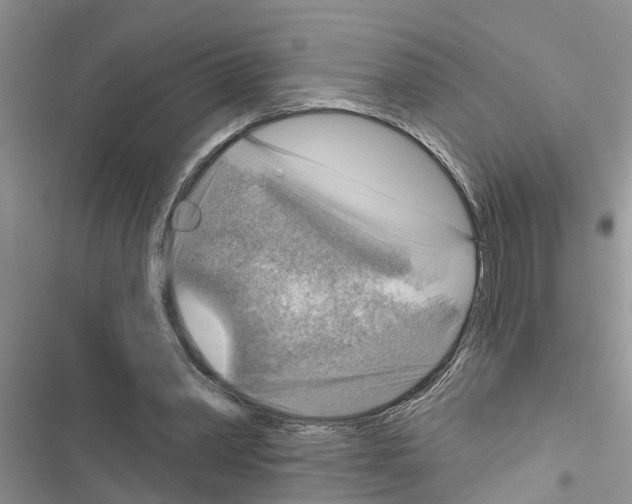 X0000116630390201001221405