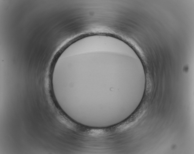 X0000116630391201001221405