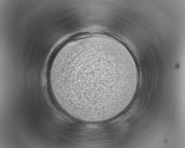X0000116630392201001221405